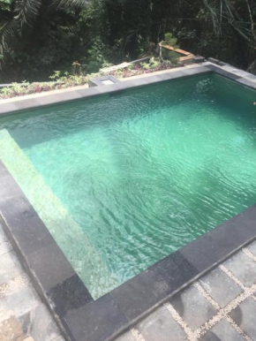 Отель Anggrek Mas Bed & Breakfast  Убуд
